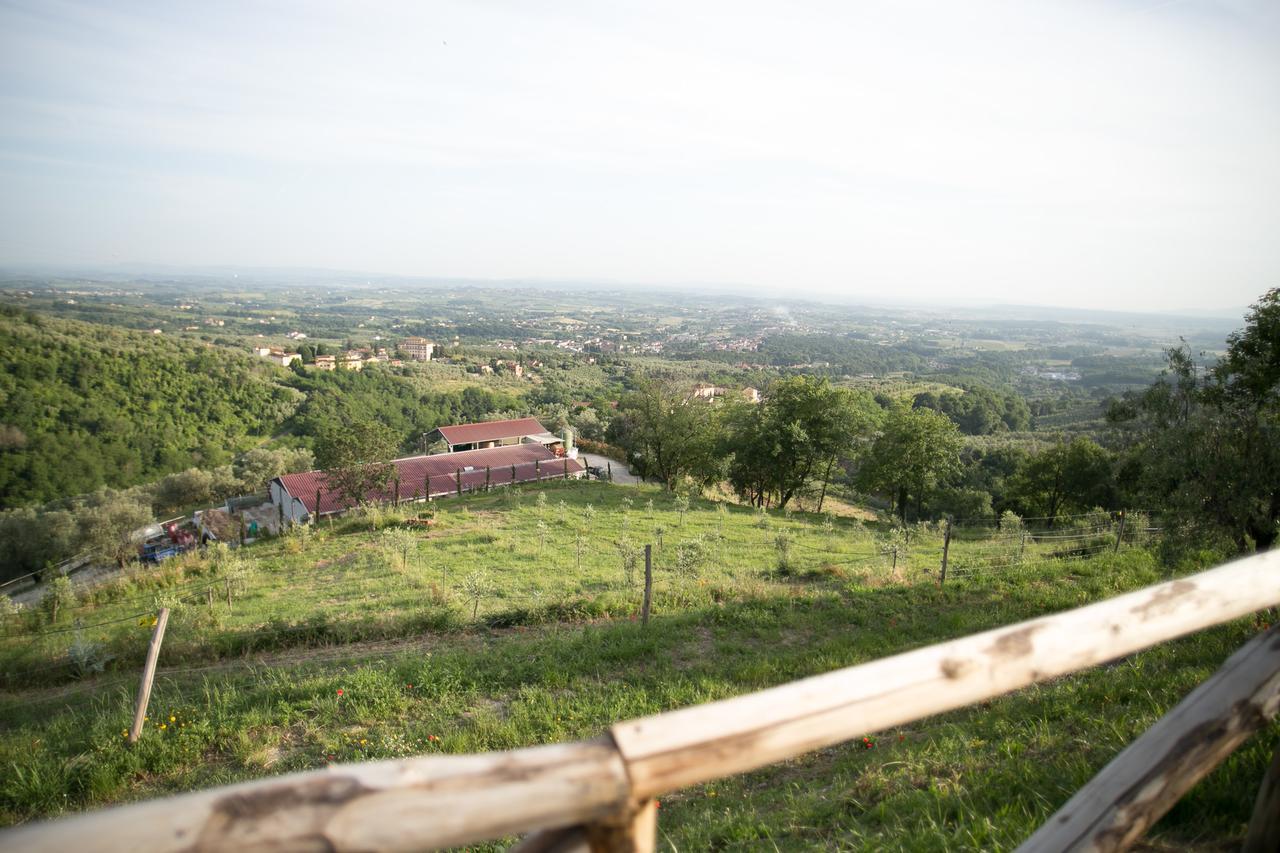 La Dispensa-Bio Agriturismo Lamporecchio Eksteriør billede